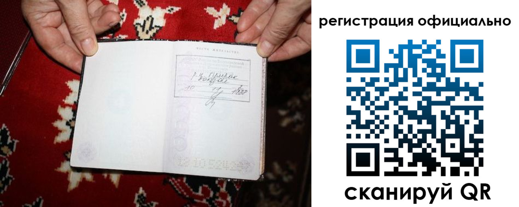 временная регистрация гарантия в Шилке